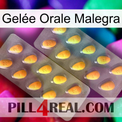 Gelée Orale Malegra cialis2